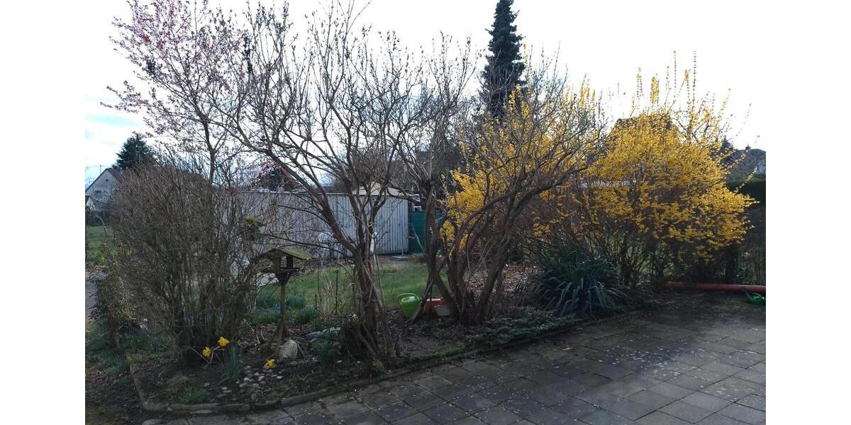 Hochparterre Neuwied Feldkirchen - 3 Zimmer, 78 m&sup2;, 178.000&euro; | Angebot:25157700