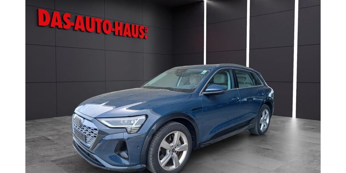 Audi Q8 e-tron 60.000 km 48.900 &euro; Montabaur 56410