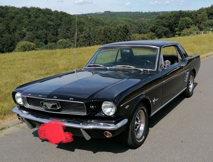 Mustang