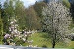 Etagenwohnung Montabaur - 3 Zimmer, 91 m&sup2;, 800&euro; | Angebot:26459305