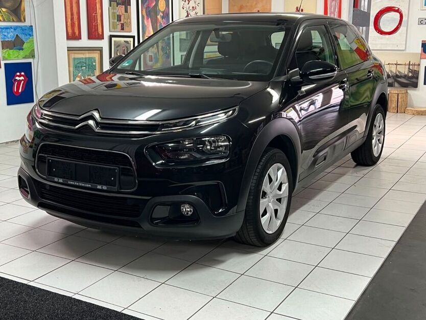 C4 Cactus
