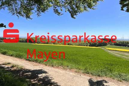 Grundstück Mayen - 87.500&euro; | Angebot:25197547