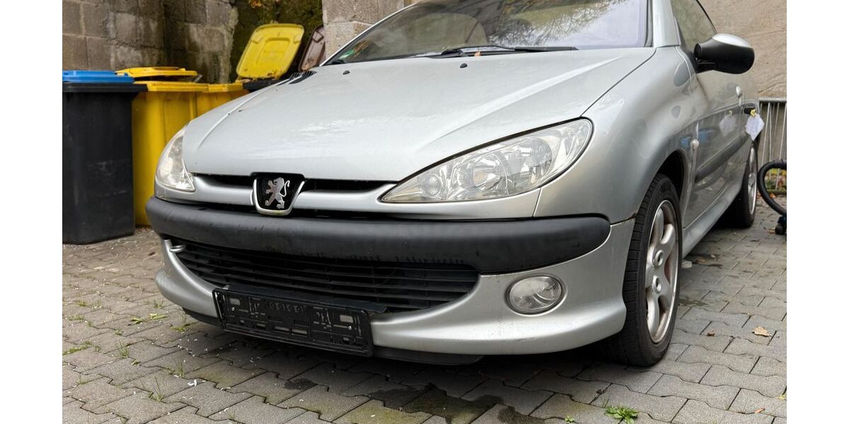 Peugeot 206 197.380 km 599 € Diez 65582