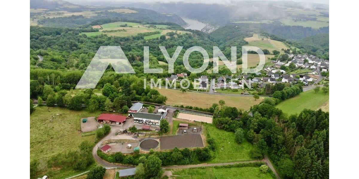 Mehrfamilienhaus, Wohnhaus Boppard Holzfeld - 1 Zimmer, 545 m&sup2;, 1.690.000&euro; | Angebot:26908302