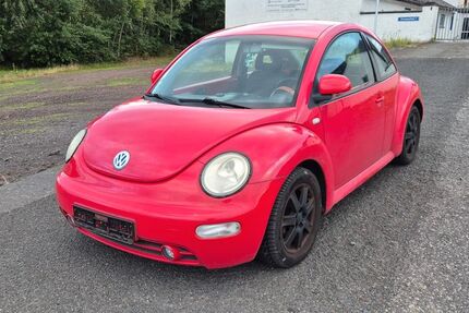 VW Beetle 234.000 km 650 € Plaidt (Mayen-Koblenz) 56637