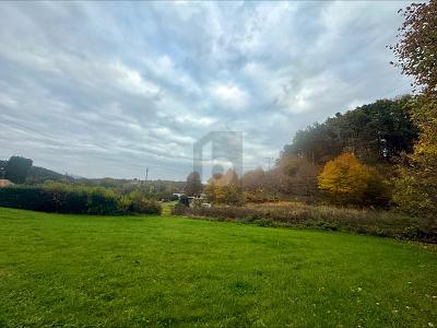 GRÜNBLICK STATT GROßSTADTLÄRM zimmer