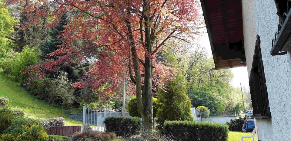 Einfamilienhaus Niederzissen - 7 Zimmer, 200 m&sup2;, 416.000&euro; | Angebot:26144769