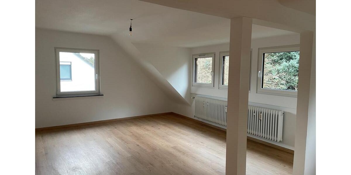 Erstbezug nach Sanierung - Großzügige 4-Zimmer-Wohnung DG 4 zimmer