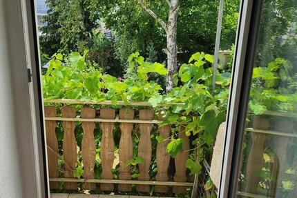 Mietwohnung 2,5 Zimmer EBK + Stellplatz + Balkon + Uninähe zimmer