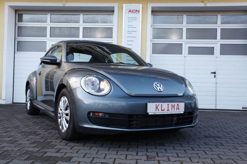 Beetle