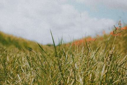 Grundstück Koblenz Karthause - 610.000&euro; | Angebot:25810515