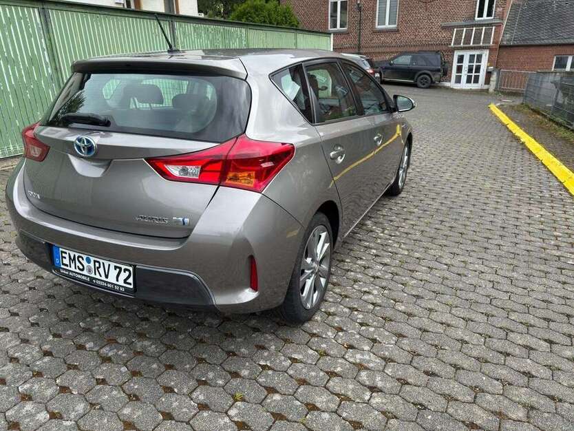 Auris