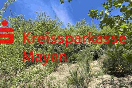 Grundstück Mayen - 125.000&euro; | Angebot:25920323