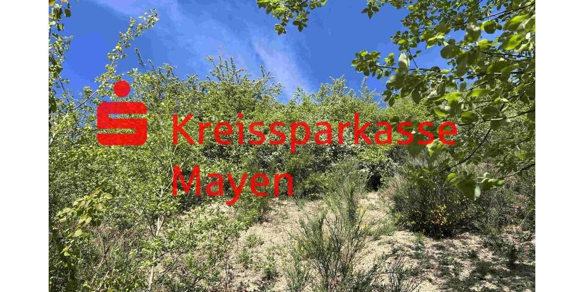 Grundstück Mayen - 125.000&euro; | Angebot:25920323
