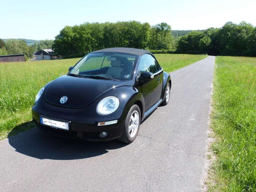 New Beetle
