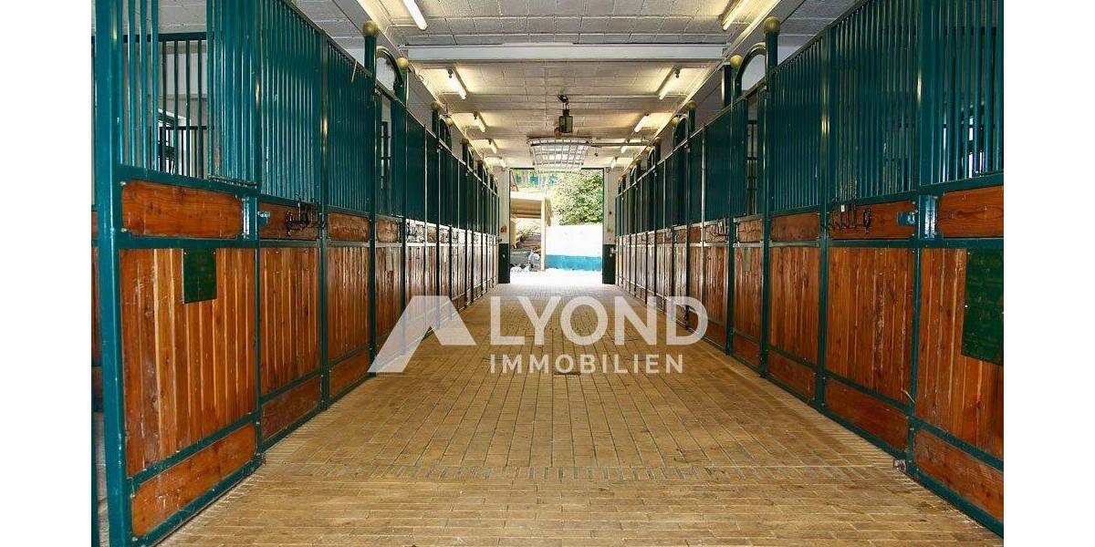 Mehrfamilienhaus, Wohnhaus Boppard Holzfeld - 1 Zimmer, 545 m&sup2;, 1.690.000&euro; | Angebot:26908302
