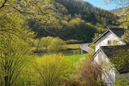 Grundstück Dausenau - 159.000&euro; | Angebot:25328771