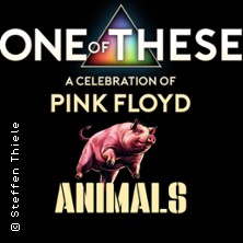 One Of These – A celebration of Pink Floyd / Animals Tour 29.08.2026 Altes Schwimmbad