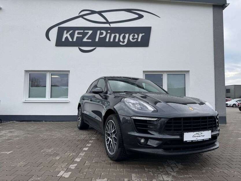 Macan