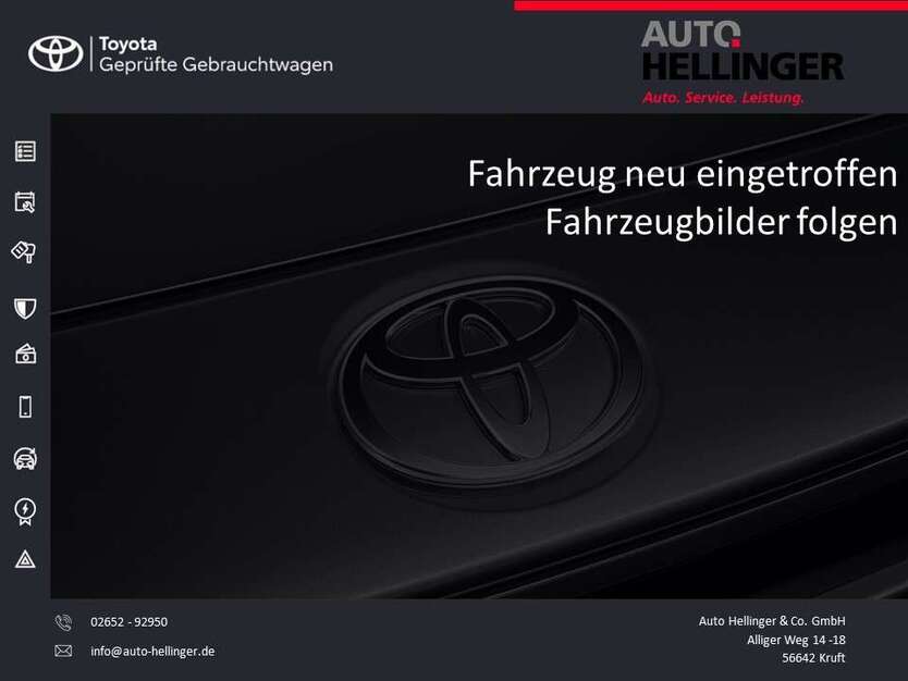Auris
