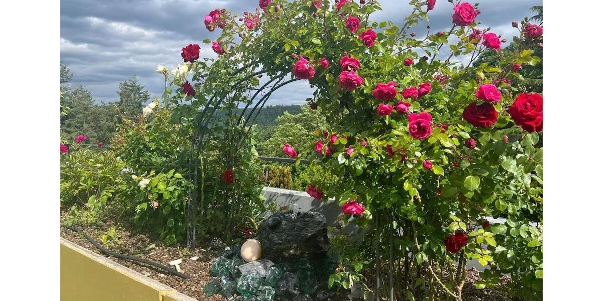 Großzügige 4-Zimmer-Terrassenwohnung mit ca. 90 m² Terrasse 4 zimmer