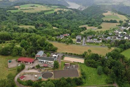 Wohnung Boppard - 3 Zimmer, 90 m&sup2;, 750&euro; | Angebot:25634400