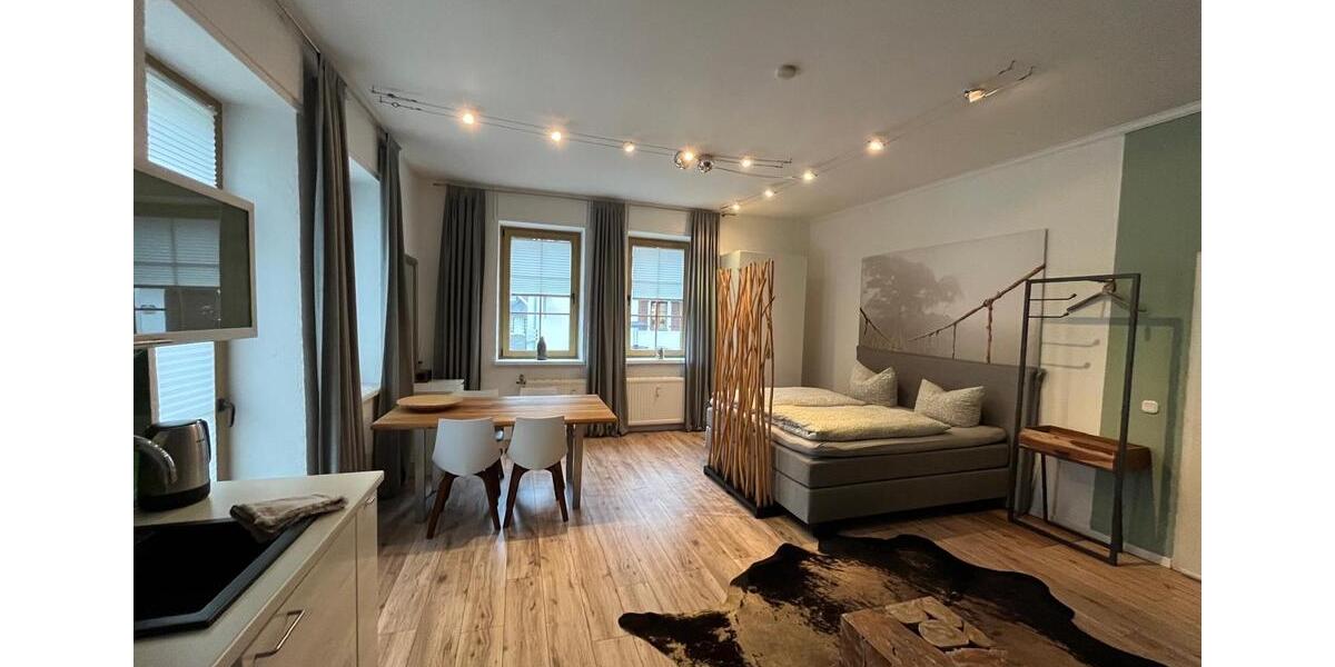 Möbliertes Studio 30m2 mit Terrasse - all inclusive - auf Zeit 1 zimmer