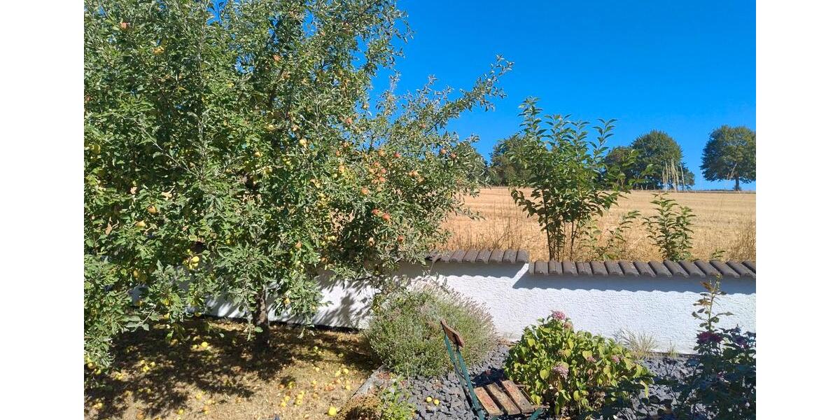 Einfamilienhaus Urmitz - 440.000&euro; | Angebot:27283149