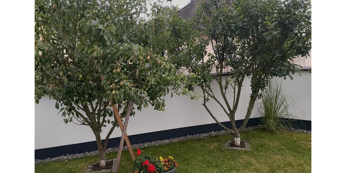 Einfamilienhaus Neuwied Block - 8 Zimmer, 234 m&sup2;, 735.000&euro; | Angebot:25509838