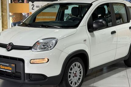 Fiat Panda 9.314 km 10.900 &euro; Wirges 56422
