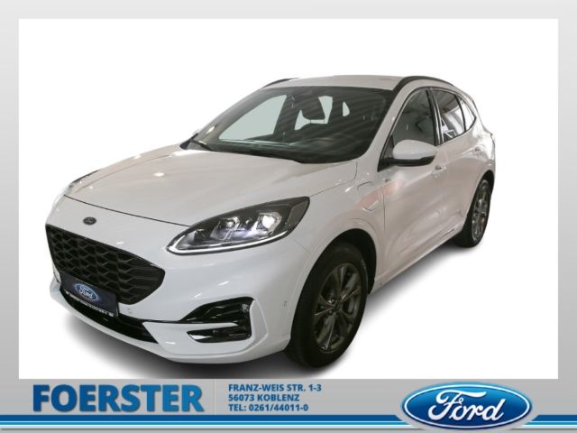 Kuga