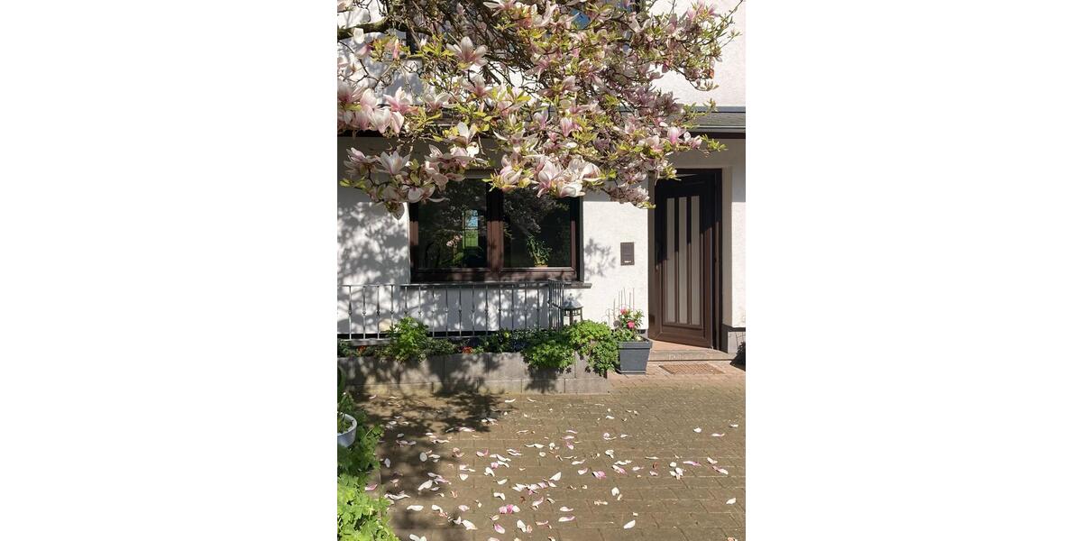 Erdgeschoßwohnung Kalt - 2 Zimmer, 42 m&sup2;, 260&euro; | Angebot:24952320