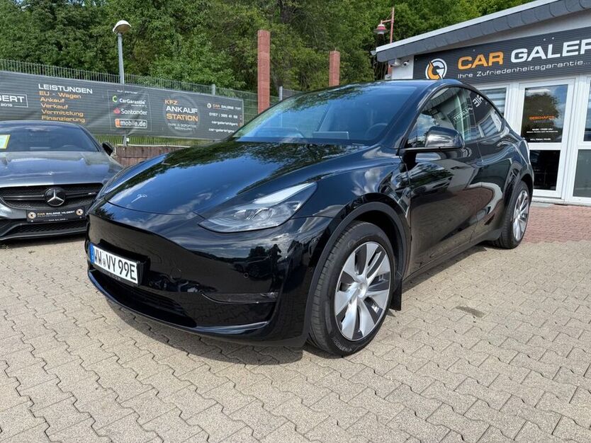 Model Y