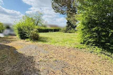 Grundstück Melsbach - 250.000&euro; | Angebot:26463638