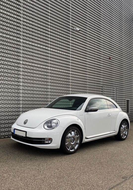 Beetle