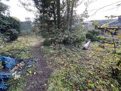 ROHDIAMANT MIT ERHOLUNGSCHARAKTER zimmer