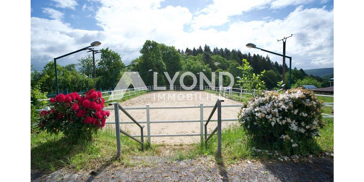 Mehrfamilienhaus, Wohnhaus Boppard Holzfeld - 1 Zimmer, 545 m&sup2;, 1.690.000&euro; | Angebot:26908302