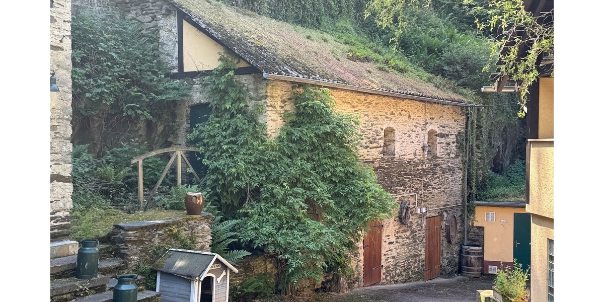Die Herrmanns Mühle am Fuße der Loreley - Gewerbeobjekt Sankt Goarshausen | Angebot:24713291