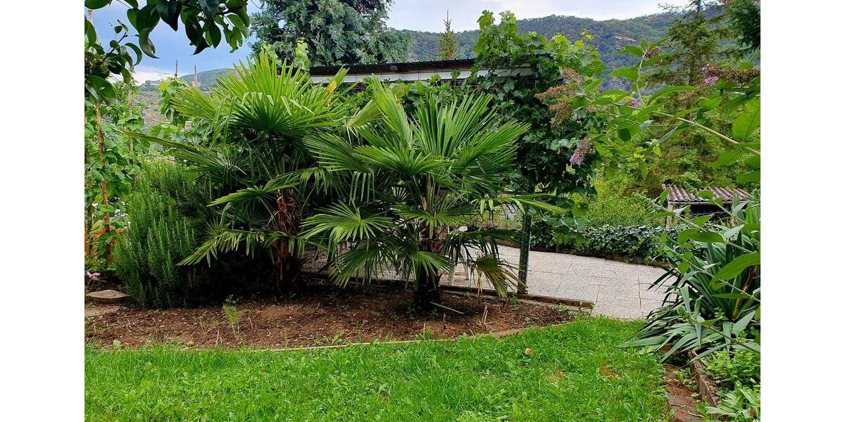 Etagenwohnung Boppard - 3 Zimmer, 80 m&sup2;, 730&euro; | Angebot:25568954