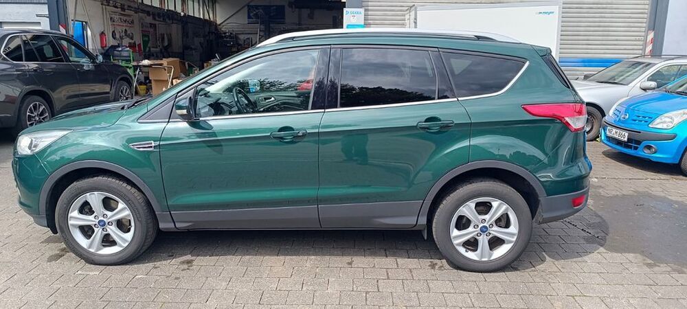 Kuga
