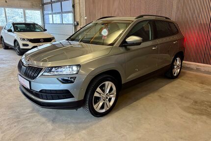 Skoda Karoq 138.126 km 18.999 &euro; Horhausen 56593