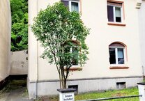 ***Einfamilienhaus in Bad-Ems*** Garten***Sonnenterrasse***Garage***