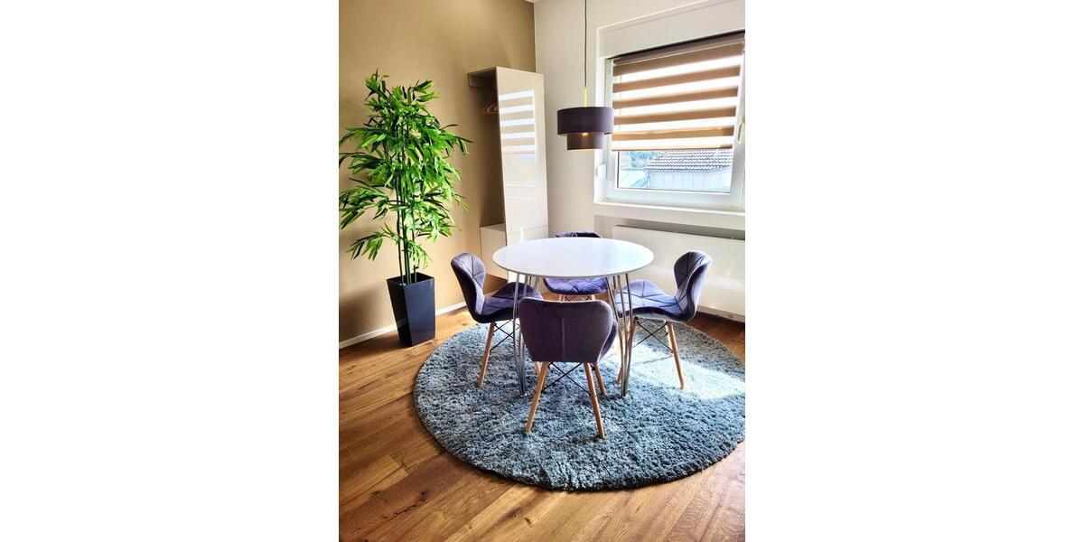 Etagenwohnung Vallendar - 1 Zimmer, 45 m&sup2;, 1.000&euro; | Angebot:26374360
