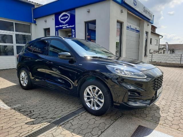 Kuga