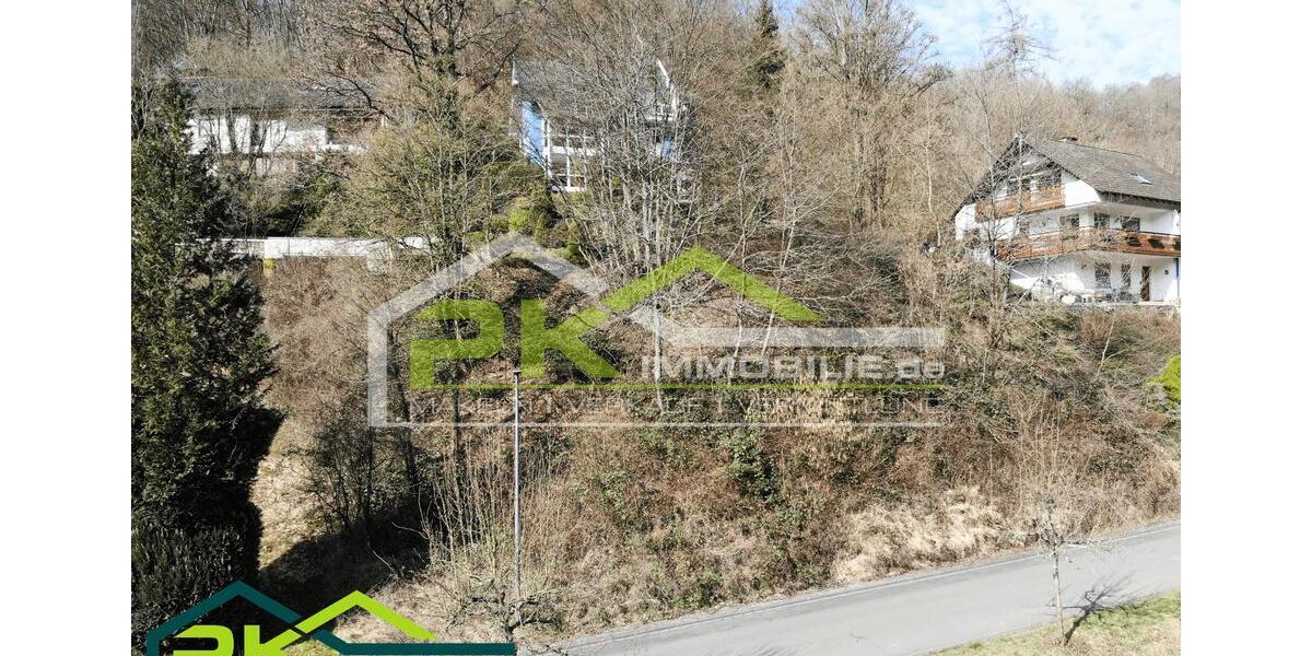 freies Baugrundstück in der schönsten Lage in Nassau (Kaltbachtal) 5 zimmer