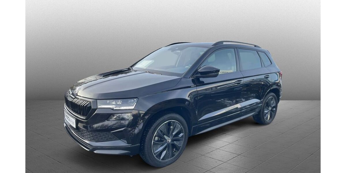Skoda Karoq 28.073 km 38.500 &euro; Diez 65582