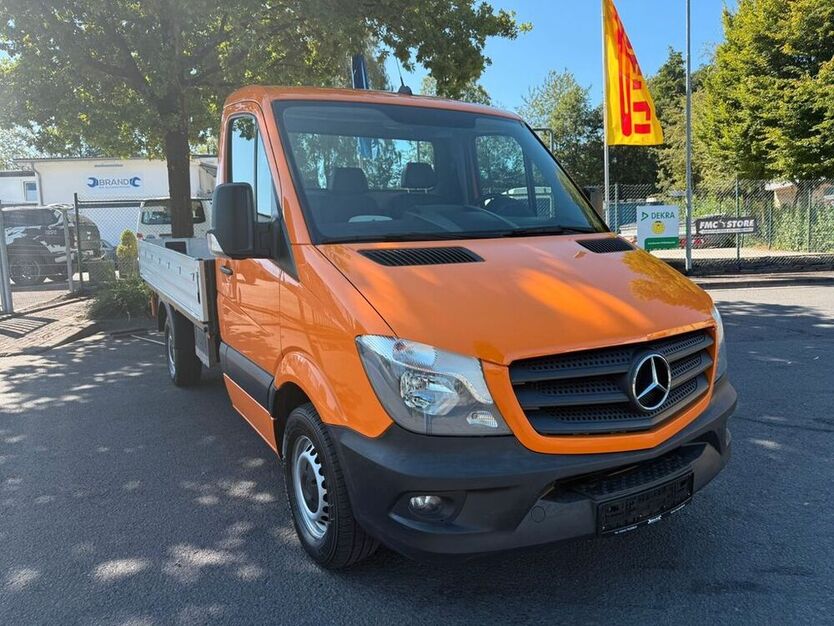 Sprinter
