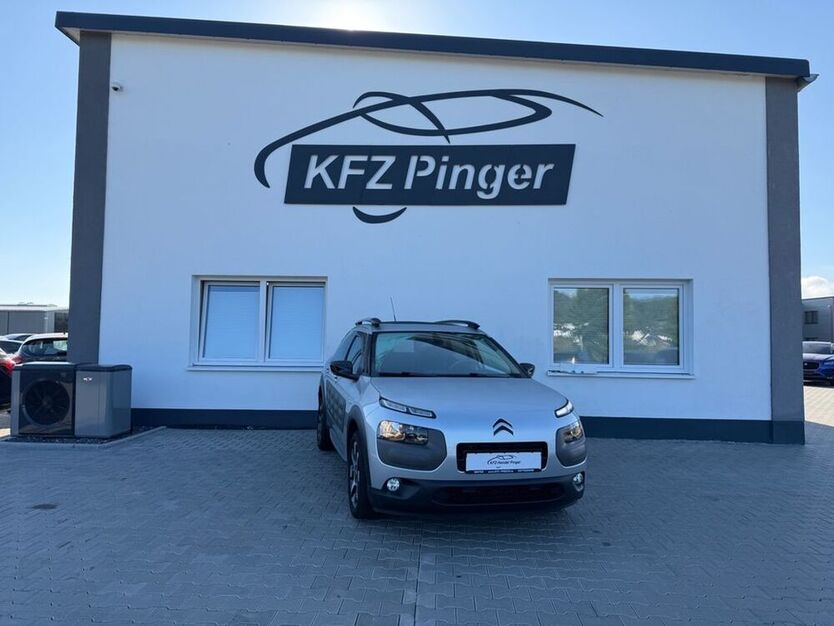 C4 Cactus