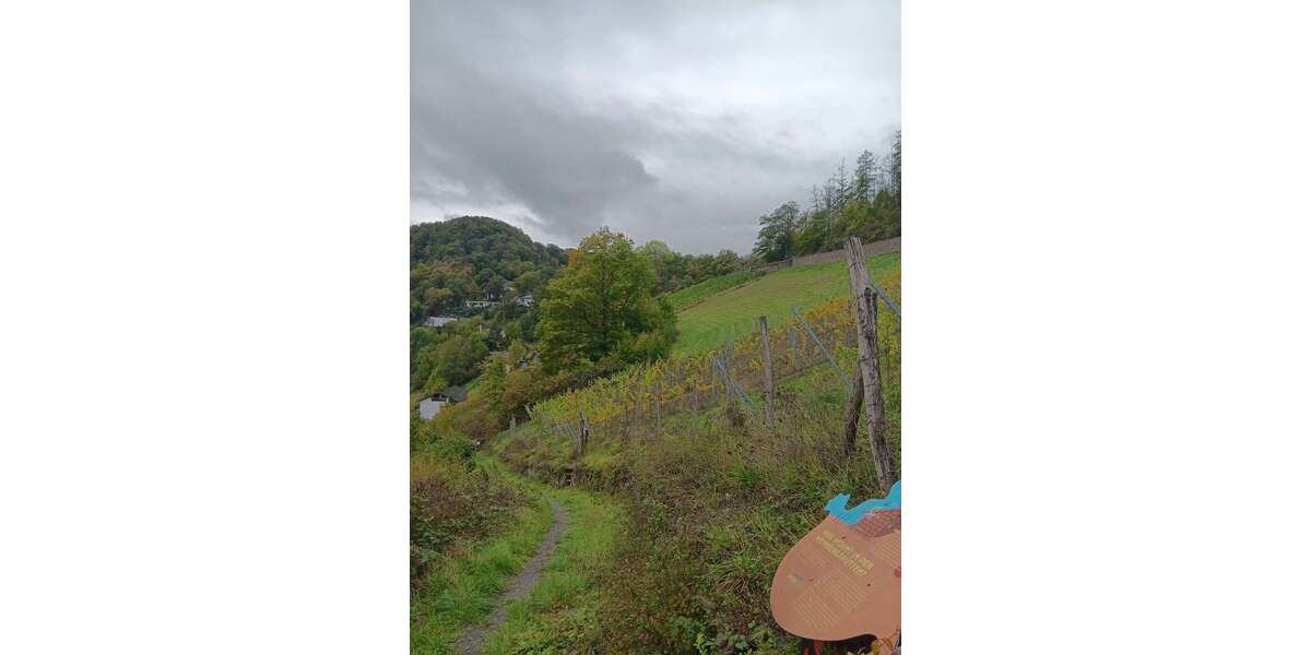 Grundstück Obernhof - 8.000&euro; | Angebot:26939247