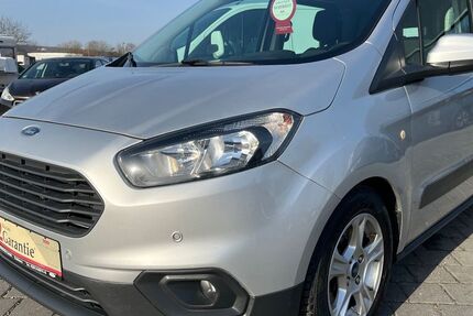 Ford Transit 116.113 km 8.790 &euro; Irlich 56567